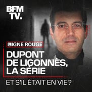 Dupont de Ligonnès, la série