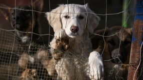 (Photo d'illustration)