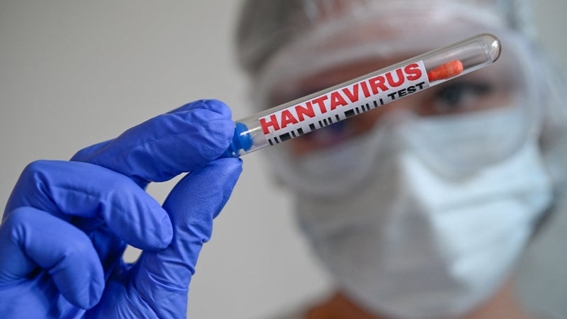 Hantavirus: un touriste passé par la France positif, les autorités à la recherche de cas-contacts