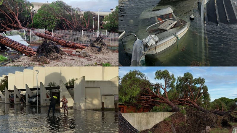 Arbres arrachés, inondations... Les images des dégâts dans le sud de la France après le passage d'un nouvel épisode méditerranéen