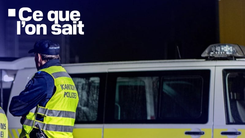"Coups de feu en rafale", suspect recherché... Ce que l'on sait des tirs qui ont fait au moins un mort en marge d'une rave party en Suisse