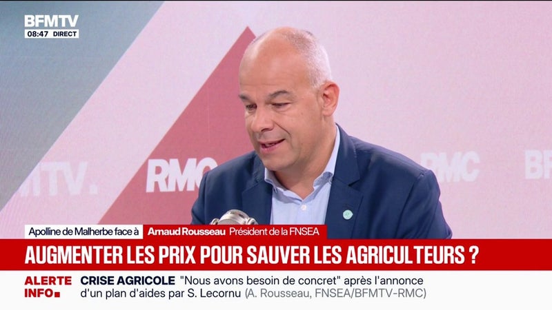 "Sur 100 euros dans un caddie de supermarché, c'est sept à huit euros dans la poche de l'agriculteur", déclare Arnaud Rousseau, président de la FNSEA