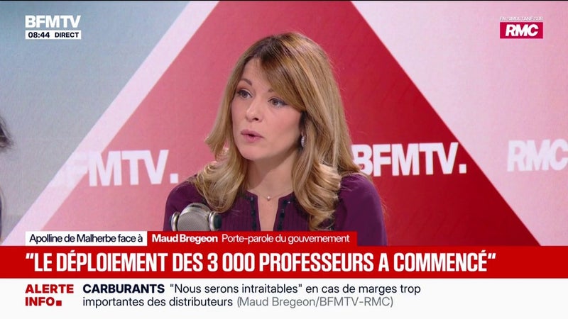 Manifestations lycéennes: "La question de l'orientation ne se résume pas à Parcoursup", estime Maud Bregeon, porte-parole du gouvernement
