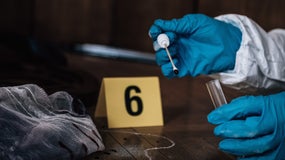 Enquête, les premières 48 heures (saison 6)