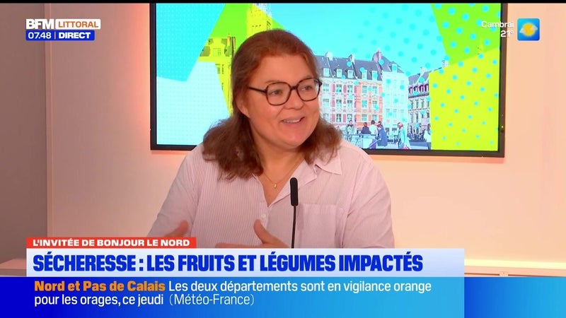L'invitée de Bonjour Littoral du jeudi 27 août 2026 - Hélène Méli