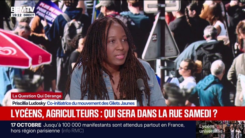 Mobilisation du 17 octobre: "Après toutes ces années, je ne constate pas d'amélioration dans la vie des gens", indique Priscillia Ludosky, co-initiatrice du mouvement des Gilets Jaunes