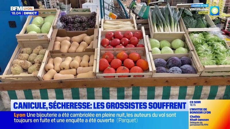 Canicule : les conséquences de la sécheresse pour les grossistes du marché de Lyon Corbas