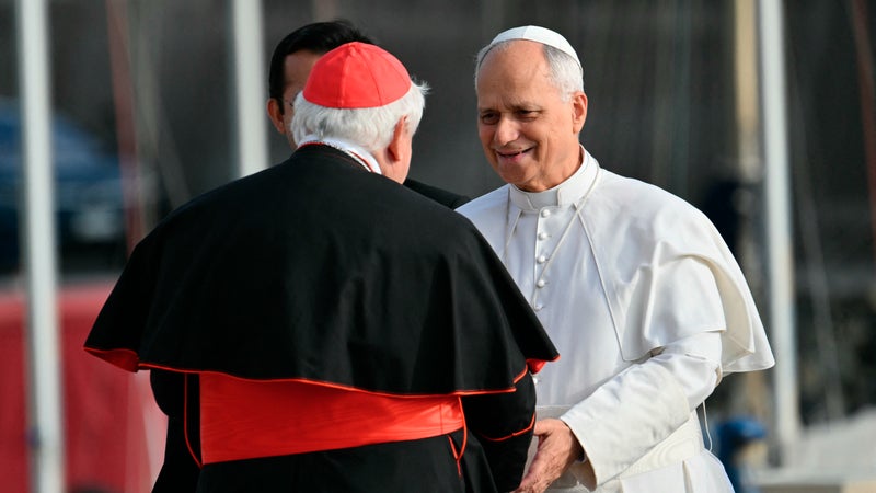 "J'ai reçu un SMS, le pape accepte": le cardinal Jean-Marc Aveline révèle les coulisses de la venue de Léon XIV en France