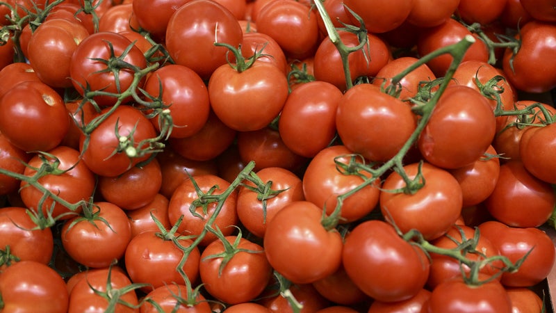 Ces tomates vendues chez Auchan partout en France contiennent trop de pesticides: ne les mangez pas