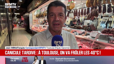 Canicule tardive: à Toulouse, on va frôler les 40 degrés