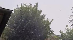 Tempête de grêle à Rambouillet - Témoins BFMTV