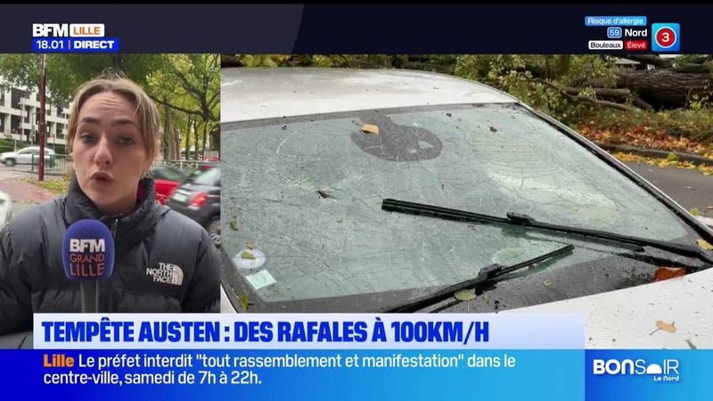Arbres couchés, tramways et trains suspendus, panne d'électricité... La tempête Austen a frappé le Nord et le Pas-de-Calais avec des rafales jusqu'à 100km/h