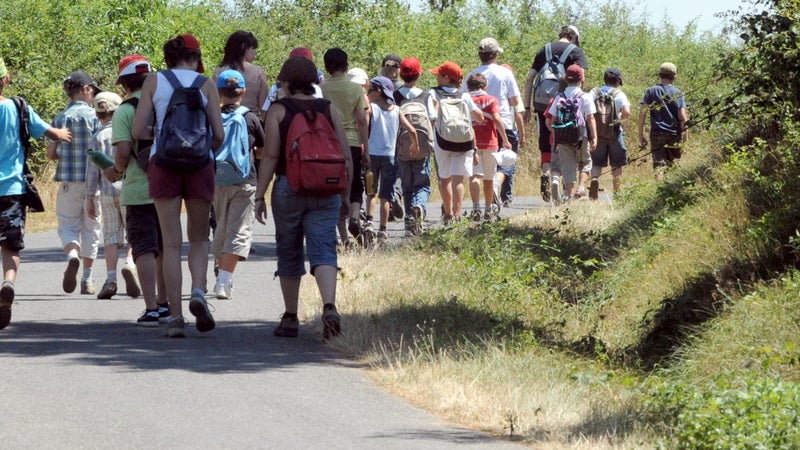 Ces colonies déconnectées où les ados profitent sans téléphone: "Il faut que je me détache des écrans"