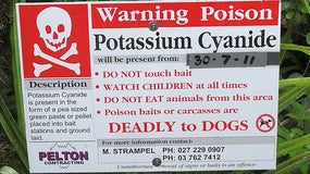 Il est accusé d'avoir empoisonné sa femme avec du cyanure de potassium, une molécule mortelle (image d'illustration)