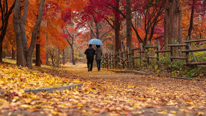 Pumpkin spice latte, plaid réconfortant et Gilmore Girls: comment l'automne est devenu la saison chouchou des réseaux sociaux