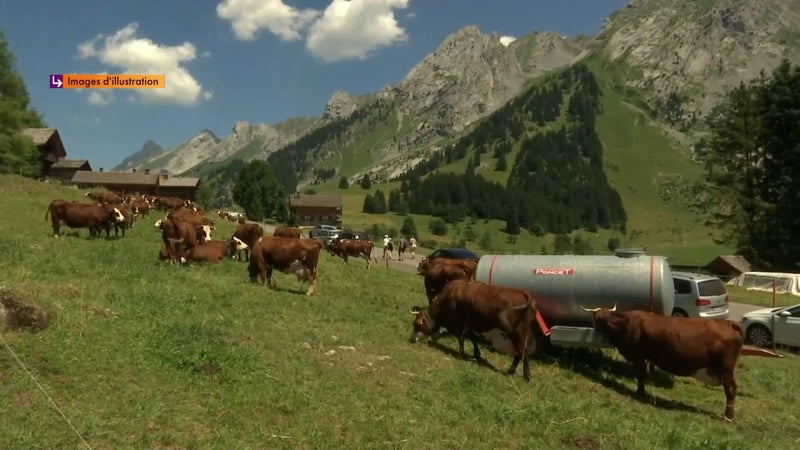 Pollution et "privatisation du domaine public": en Savoie, le salon du 4x4 tout-terrain divise