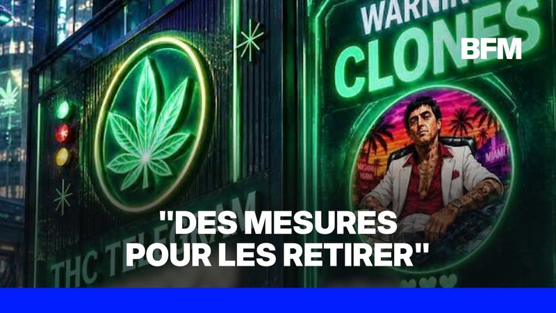 Narcotrafic: des "points de deal virtuels" retrouvés directement sur Google Maps