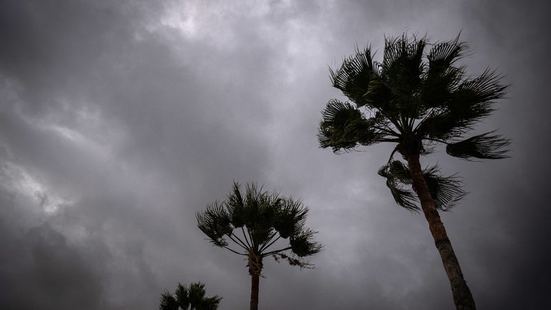 Vents "potentiellement mortels", crues soudaines... L'ouragan Polo, de catégorie 3, frappe la côte pacifique du Mexique