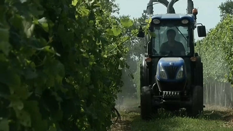 "C’est surtout du poison, on a été naïfs": le témoignage poignant et l'alerte d'un agriculteur atteint d'un cancer