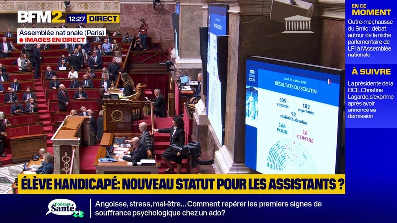 "Une victoire importante": les députés adoptent un nouveau statut pour les accompagnants d'élèves handicapés