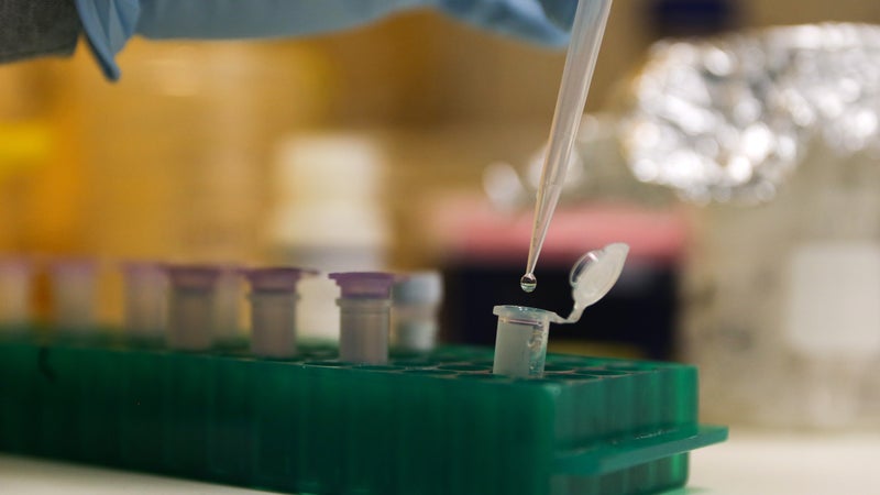 Un scientifique manipule des échantillons d'ADN (illustration).