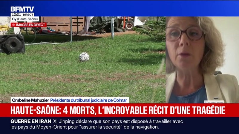Violences vicariantes: "Bien souvent, les auteurs annoncent à l'avance leur mode opératoire, comment ils vont s'en prendre aux enfants", détaille Ombeline Mahuzier, présidente du tribunal judiciaire de Colmar