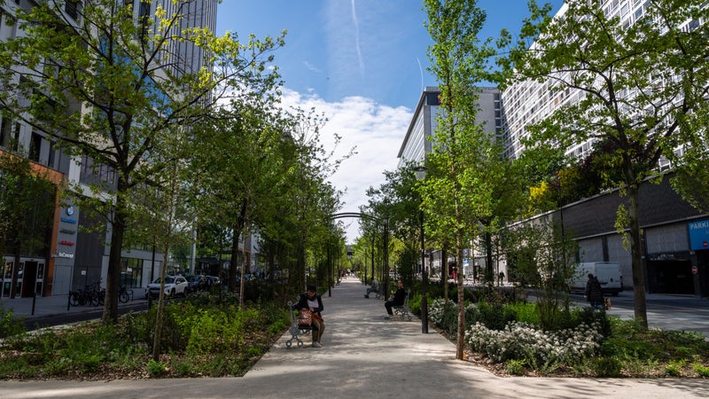 Pau: un chantier de végétalisation va affecter le stationnement pendant deux mois