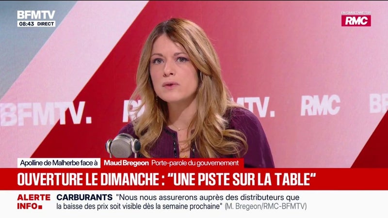 Facilitation des ouvertures de commerces le dimanche: "C'est une piste qui est sur la table", indique Maud Bregeon, porte-parole du Gouvernement