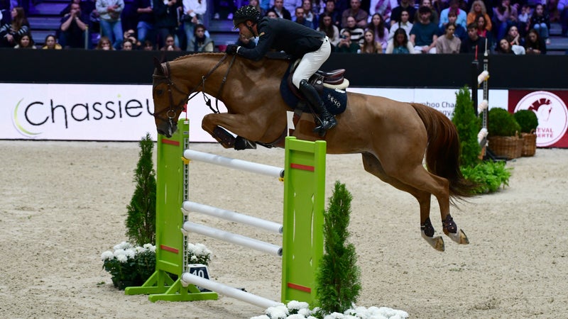 "Un événement majeur": le concours équestre des 5 Étoiles de Pau revient pour une 36ème édition