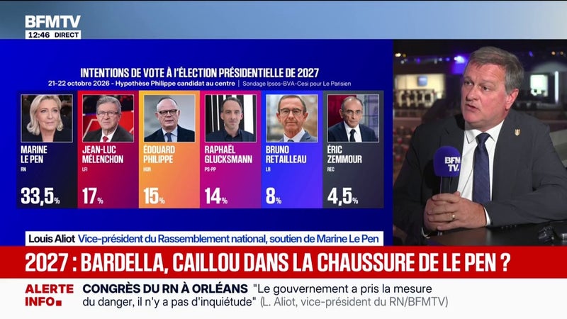 "Chez nous, l'antisémitisme est clairement combattu", assure Louis Aliot, vice-président du RN