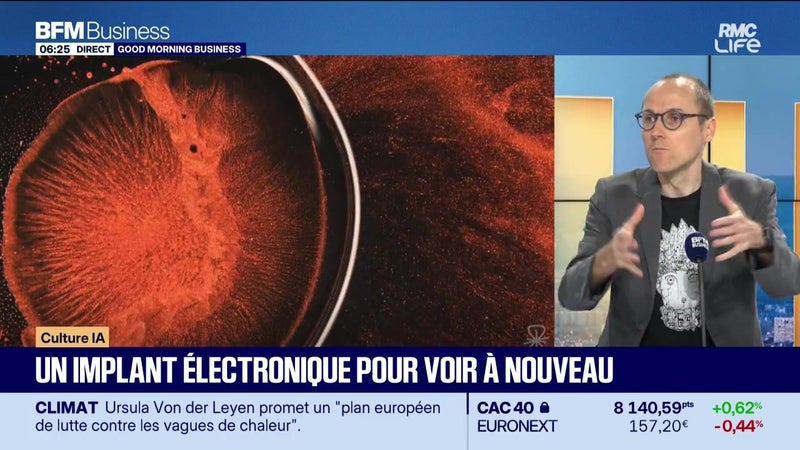 Culture IA : Un implant électronique pour voir à nouveau, par Anthony Morel - 17/09