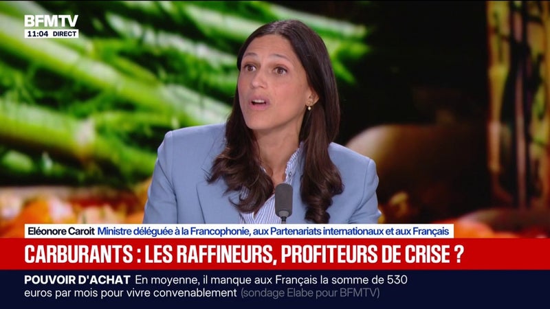 Prix de l'énergie: "Le gouvernement est en train d'accélérer l'électrification", pour "assurer notre souveraineté", explique Eléonore Caroit, Ministre déléguée auprès du ministre de l’Europe et des Affaires étrangères