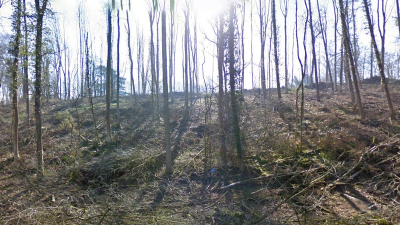 Forêt, près de Dinant en Belgique, où ont été retrouvés les restes de Britta Cloetens (image d'illustration)