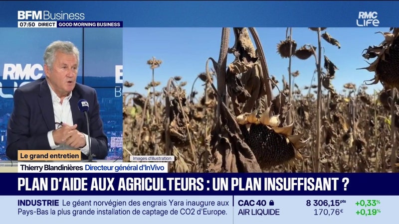 Après les canicules de cet été, les prix vont augmenter