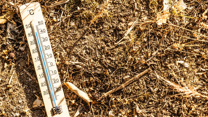 Canicule: sept départements placés ce samedi en vigilance orange par Météo-France