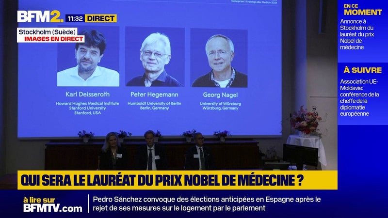 Le Nobel de médecine décerné à un Américain et deux Allemands pour leurs découvertes sur les canaux ioniques et l'optogénétique