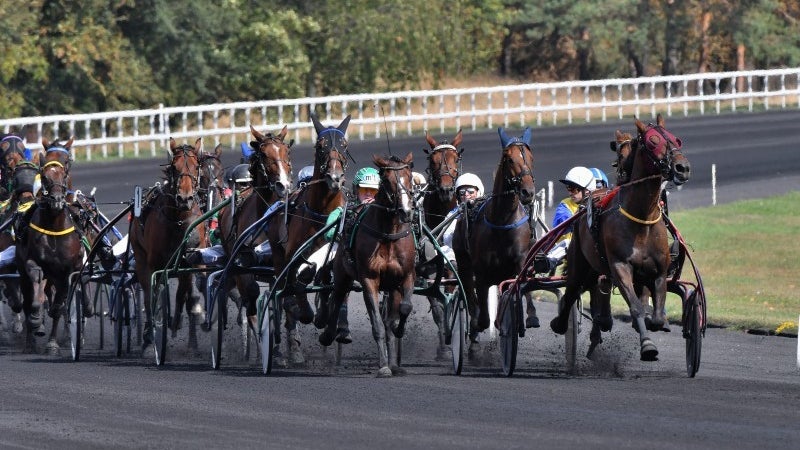 Image accompanying Les pronos hippiques du jeudi 29 octobre 2026, from RMC Sport