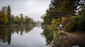 Le bois de Boulogne. (photo d'illustration)