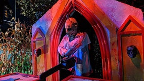 Décoration pour Halloween (image d'illustration)