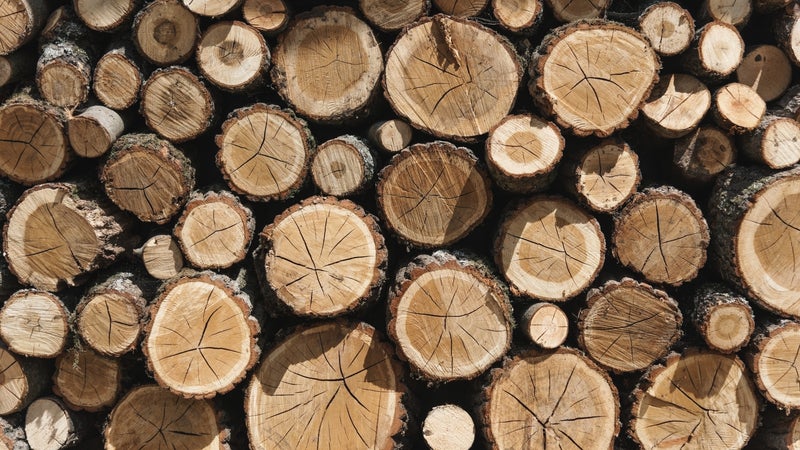 Des mairies mettent à disposition des stères de bois à prix réduit pour le chauffage, voici comment en profiter avant l'épuisement des stocks
