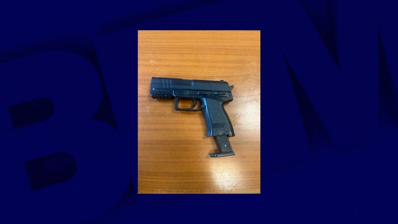 Colère lycéenne: un mineur placé en garde à vue après avoir mis en joue des policiers avec un pistolet à billes dans le Val-de-Marne