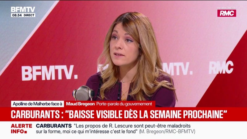 10 millions de barils libérés: les distributeurs "accueillent cette mise en place" de manière "plutôt positive", estime Maud Bregeon, porte-parole du Gouvernement