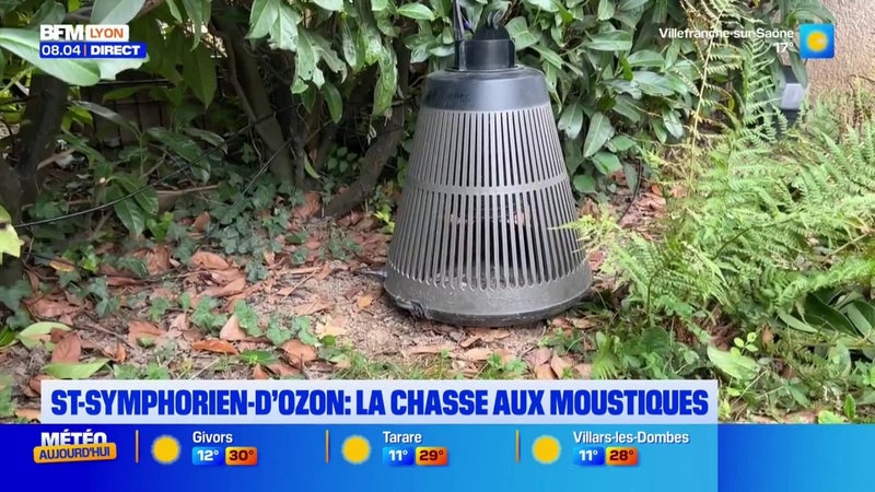 Les moustiques sont toujours bien présents dans le département