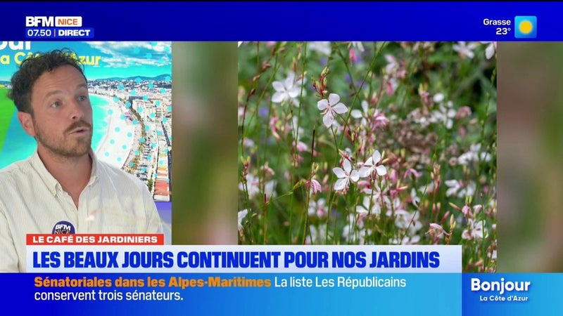 L’été joue les prolongations : quels impacts sur nos jardins ?