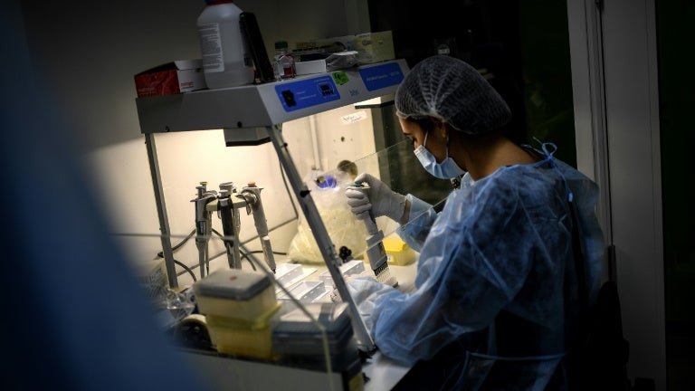 Qu'est-ce que le Shamonda, ce virus détecté pour la première fois chez un humain en France?