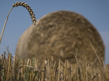 Une balle de foin - Image d'illustration