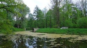 Une fillette a échappé à une tentative d'enlèvement dans son jardin (image d'illustration)