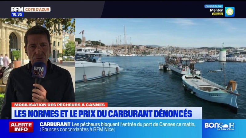 Mobilisation à Cannes : le maire, D. Lisnard, dénonce les contraintes imputées aux "petits" pêcheurs