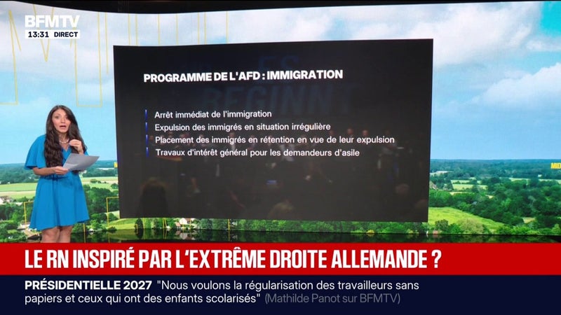 Victoire de l'AfD en Saxe-Anhalt, en Allemagne: voici ce que contient le programme du parti d'extrême droite
