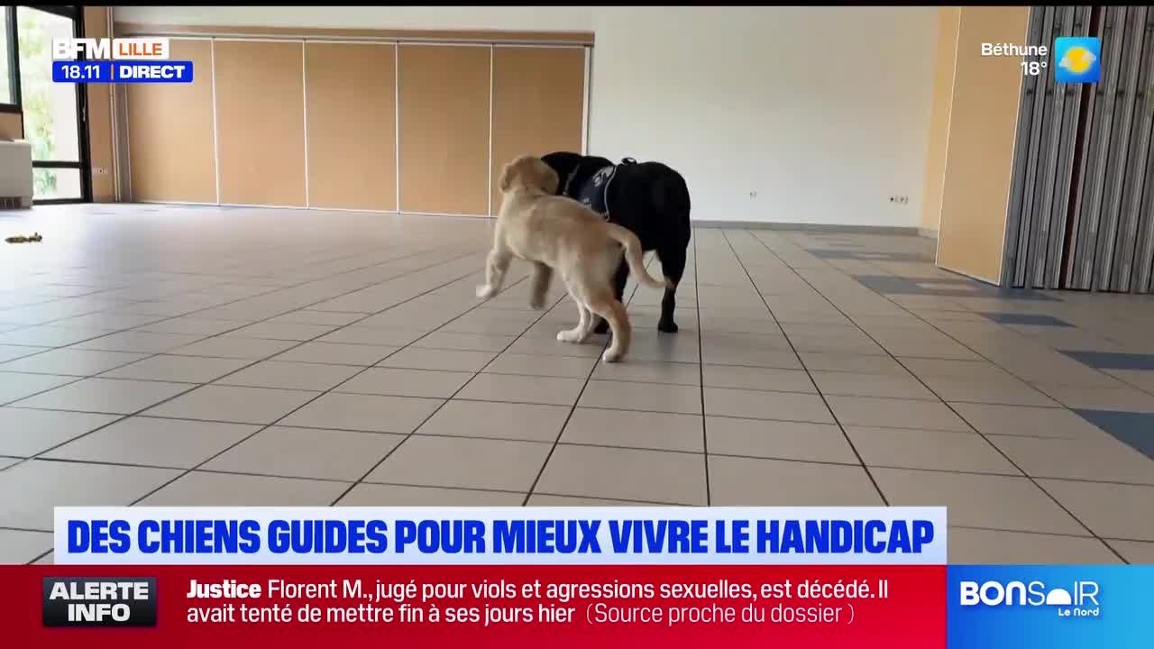 L'actu du 11 septembre 2026